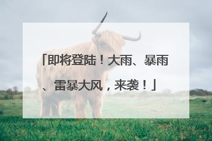 即将登陆！大雨、暴雨、雷暴大风，来袭！