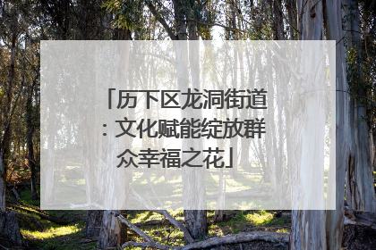 历下区龙洞街道：文化赋能绽放群众幸福之花