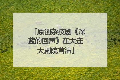 原创杂技剧《深蓝的回声》在大连大剧院首演