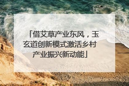 借艾草产业东风，玉玄道创新模式激活乡村产业振兴新动能
