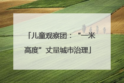 儿童观察团：“一米高度”丈量城市治理