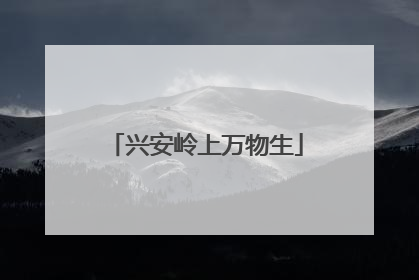 兴安岭上万物生