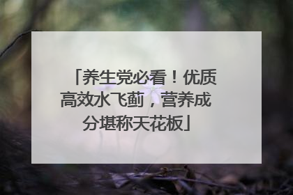 养生党必看！优质高效水飞蓟，营养成分堪称天花板