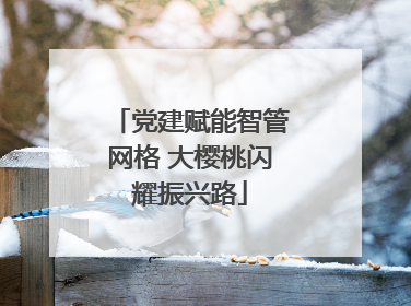 党建赋能智管网格 大樱桃闪耀振兴路