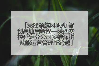 党建领航风帆劲 智创高速启新程—陕西交控延定分公司多维深耕赋能运营管理新跨越