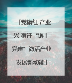 党旗红 产业兴 宿迁“链上党建”激活产业发展新动能