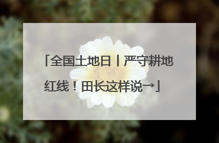 全国土地日丨严守耕地红线！田长这样说→