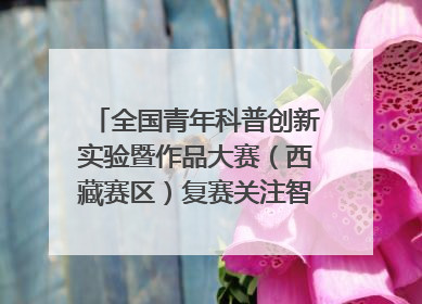 全国青年科普创新实验暨作品大赛（西藏赛区）复赛关注智慧环保等主题