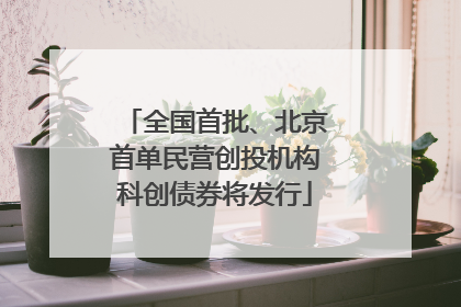 全国首批、北京首单民营创投机构科创债券将发行
