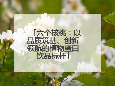 六个核桃：以品质筑基、创新领航的植物蛋白饮品标杆