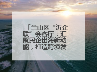 兰山区“沂企联”会客厅：汇聚民企出海新动能，打造跨境发展“强磁场”