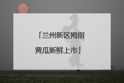 兰州新区拇指黄瓜新鲜上市