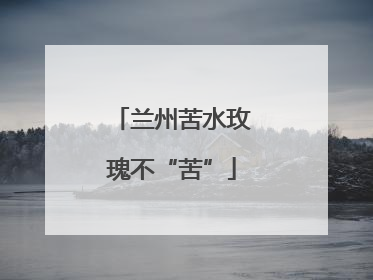 兰州苦水玫瑰不“苦”