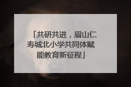 共研共进，眉山仁寿城北小学共同体赋能教育新征程