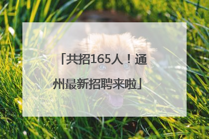 共招165人！通州最新招聘来啦