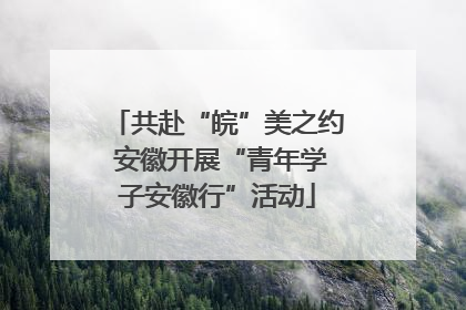 共赴“皖”美之约 安徽开展“青年学子安徽行”活动