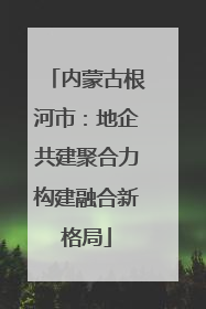 内蒙古根河市：地企共建聚合力构建融合新格局