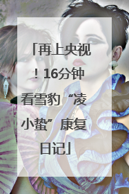 再上央视！16分钟看雪豹“凌小蛰”康复日记