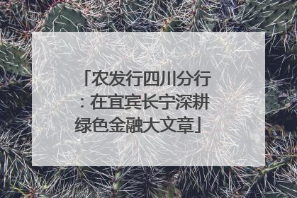 农发行四川分行：在宜宾长宁深耕绿色金融大文章