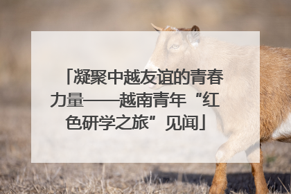 凝聚中越友谊的青春力量——越南青年“红色研学之旅”见闻