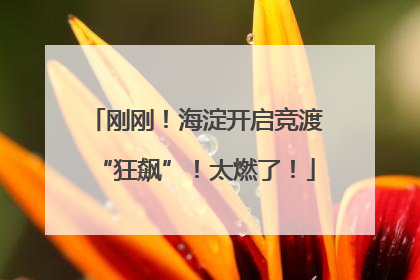 刚刚！海淀开启竞渡“狂飙”！太燃了！