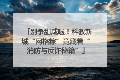别争甜咸啦！科教新城“网格粽”竟藏着“消防与反诈秘籍”