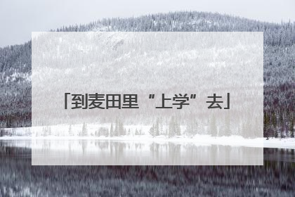 到麦田里“上学”去