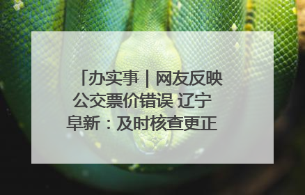 办实事｜网友反映公交票价错误 辽宁阜新：及时核查更正 加强实时巡检