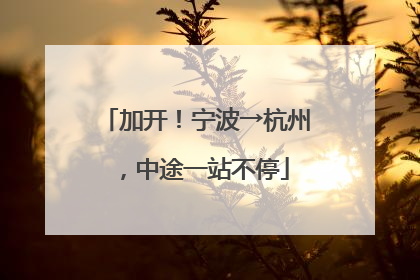 加开！宁波→杭州，中途一站不停