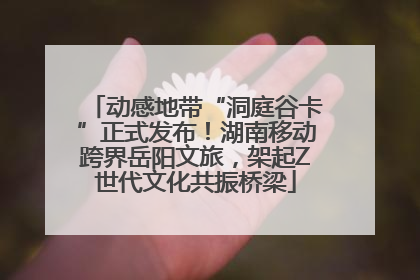 动感地带“洞庭谷卡”正式发布！湖南移动跨界岳阳文旅，架起Z世代文化共振桥梁