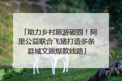 助力乡村旅游破圈！阿里公益联合飞猪打造多条县域文旅爆款线路