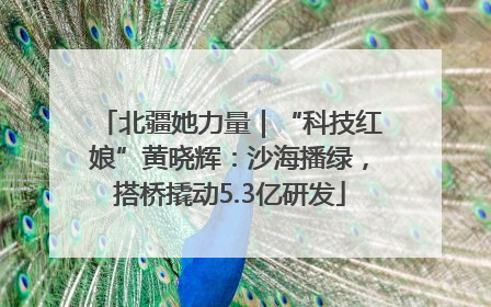 北疆她力量｜“科技红娘”黄晓辉：沙海播绿，搭桥撬动5.3亿研发