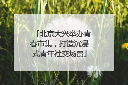 北京大兴举办青春市集，打造沉浸式青年社交场景