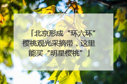 北京形成“环六环”樱桃观光采摘带，这里能买“明星樱桃”