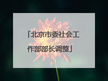 北京市委社会工作部部长调整