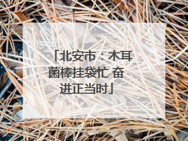 北安市：木耳菌棒挂袋忙 奋进正当时