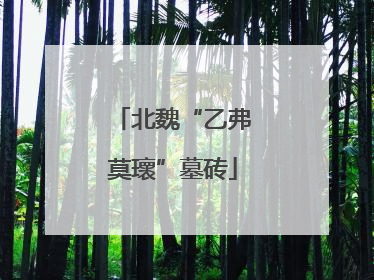 北魏“乙弗莫瓌”墓砖