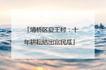 埇桥区夏王村：十年耕耘结出富民瓜