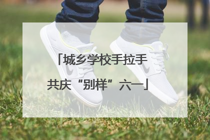 城乡学校手拉手 共庆“别样”六一