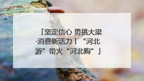 坚定信心 勇挑大梁·消费新活力丨“河北游”带火“河北购”