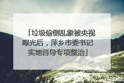 垃圾偷倒乱象被央视曝光后，萍乡市委书记实地督导专项整治