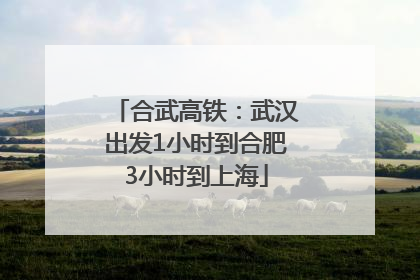 合武高铁：武汉出发1小时到合肥3小时到上海