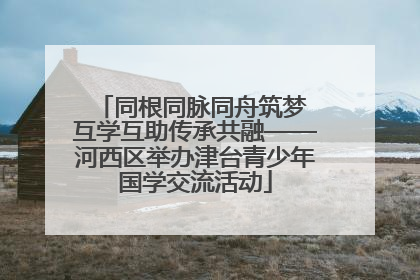 同根同脉同舟筑梦 互学互助传承共融——河西区举办津台青少年国学交流活动