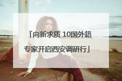 向新求质 10国外籍专家开启西安调研行