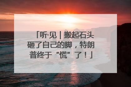 听·见｜搬起石头砸了自己的脚，特朗普终于“慌”了！