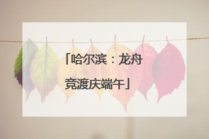 哈尔滨：龙舟竞渡庆端午