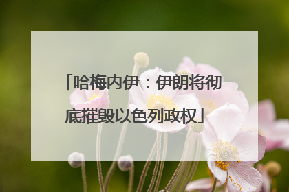 哈梅内伊：伊朗将彻底摧毁以色列政权