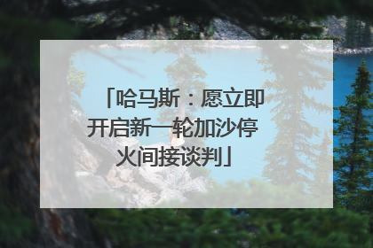 哈马斯：愿立即开启新一轮加沙停火间接谈判