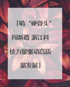 啃“硬骨头”闯新路 浙江科技力量驱动高质量发展