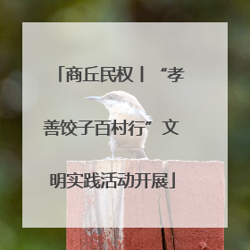商丘民权丨“孝善饺子百村行”文明实践活动开展